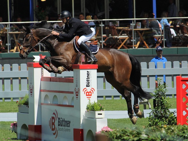 的战略眼光 的战略眼光