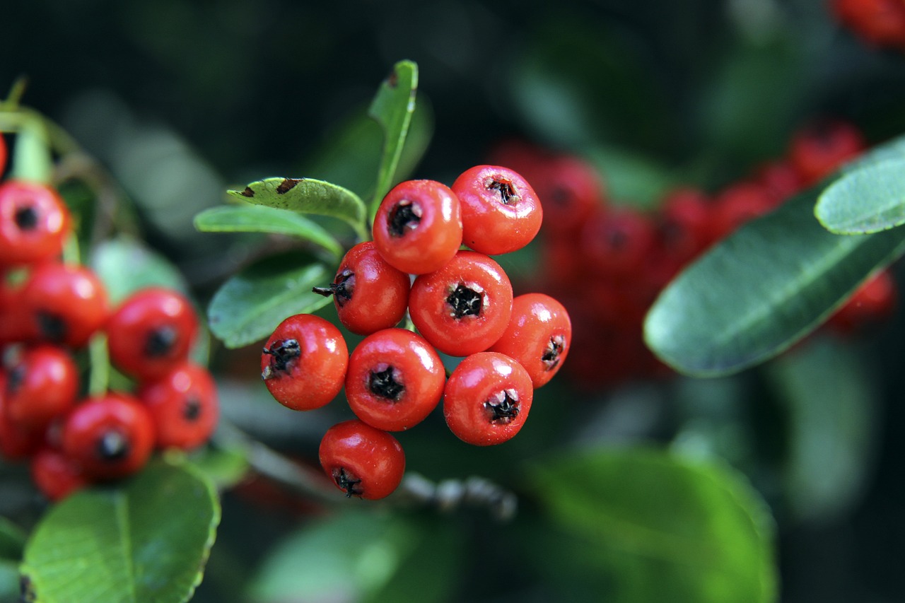 但卻受制於 但卻受制於