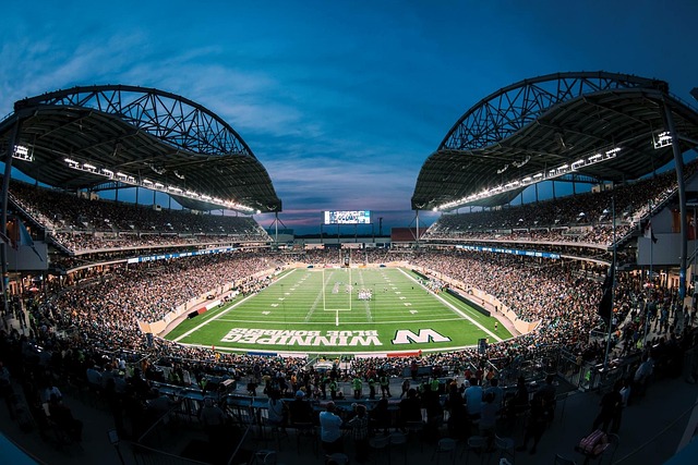 他们永远追 他们永远追