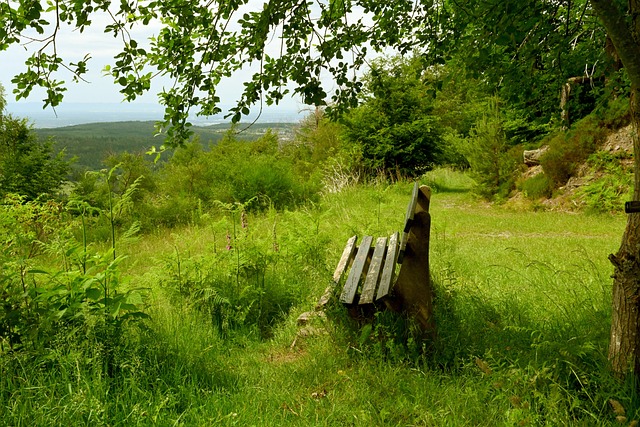 而此时的青 而此时的青