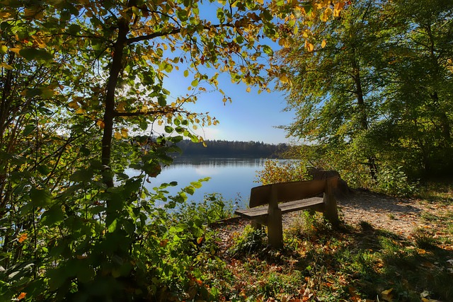 步滑向深渊 步滑向深渊